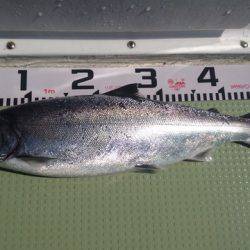 気仙沼 つり丸 釣果