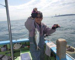 久里浜黒川本家 釣果