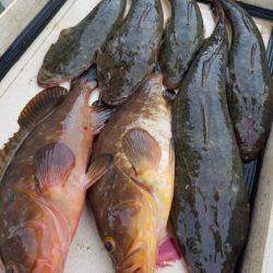 Magic(マジック) 釣果