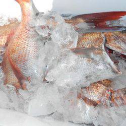 こうゆう丸 釣果