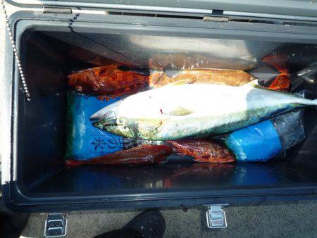 浅間丸 釣果