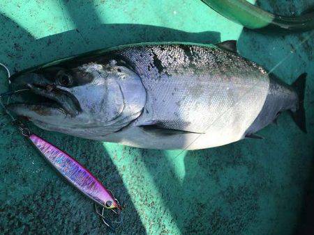 広進丸 釣果