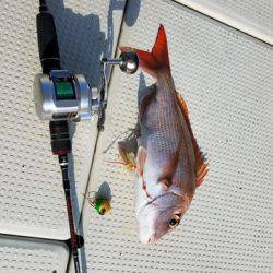 遊漁船 ニライカナイ 釣果