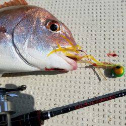 遊漁船 ニライカナイ 釣果