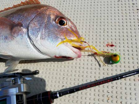 遊漁船 ニライカナイ 釣果