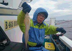 しまや丸 釣果