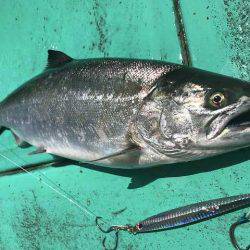 広進丸 釣果