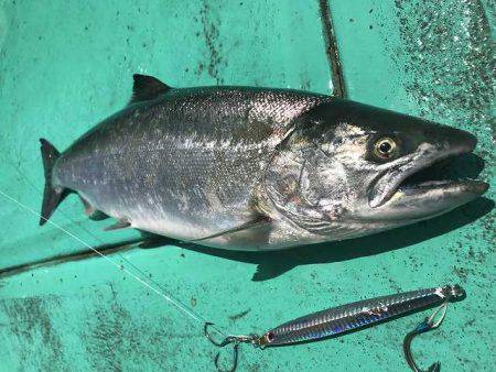 広進丸 釣果
