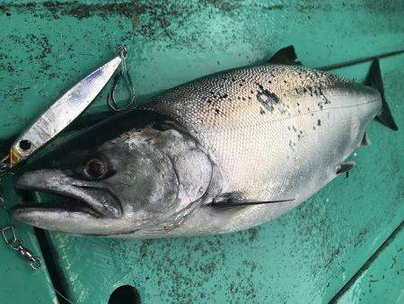 広進丸 釣果