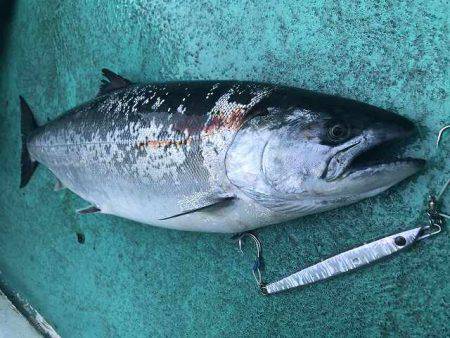 広進丸 釣果