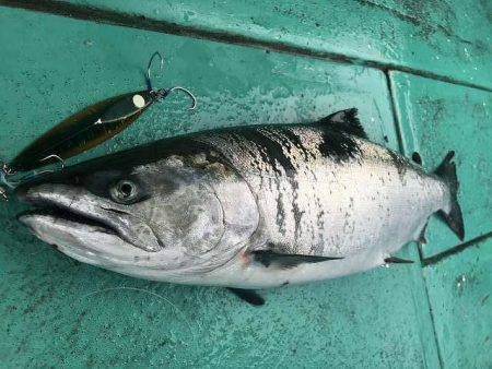 広進丸 釣果