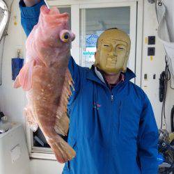 遊漁船 ニライカナイ 釣果
