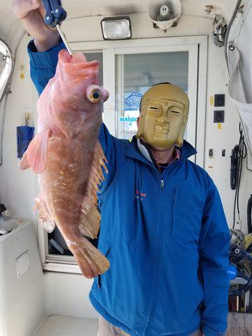 遊漁船 ニライカナイ 釣果