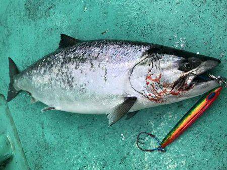 広進丸 釣果