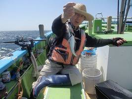 久里浜黒川本家 釣果