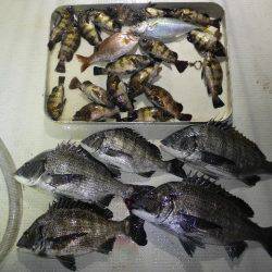 TOPGUN名古屋 釣果