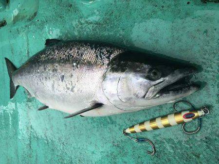 広進丸 釣果
