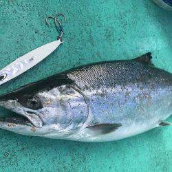 広進丸 釣果