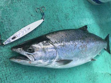 広進丸 釣果
