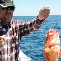 第二大福丸 釣果