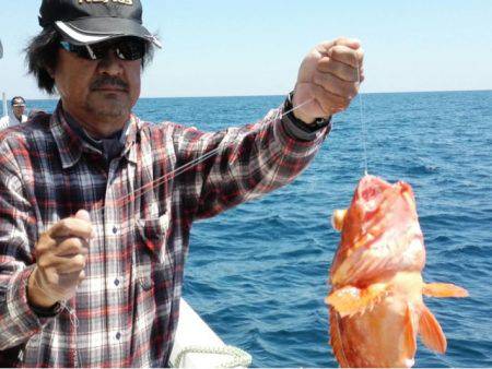 第二大福丸 釣果