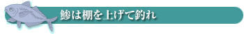 淡路じゃのひれフィッシングパーク 釣果