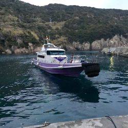 鵜来島家本渡船 釣果