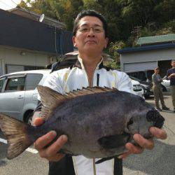 鵜来島家本渡船 釣果