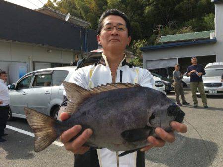 鵜来島家本渡船 釣果