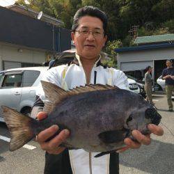 鵜来島家本渡船 釣果