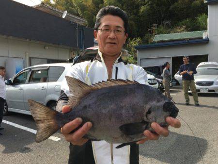 鵜来島家本渡船 釣果