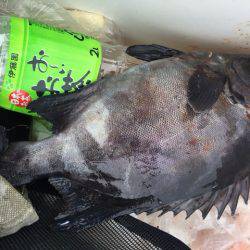 鵜来島家本渡船 釣果