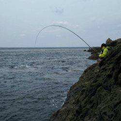 鵜来島家本渡船 釣果