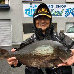 鵜来島家本渡船 釣果