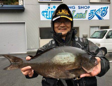 鵜来島家本渡船 釣果