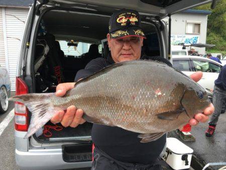 鵜来島家本渡船 釣果