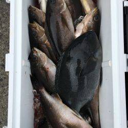 鵜来島家本渡船 釣果