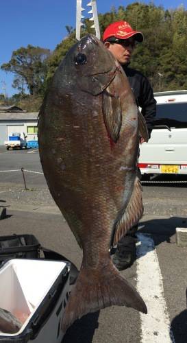 鵜来島家本渡船 釣果