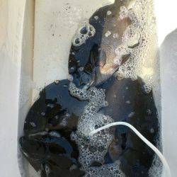 鵜来島家本渡船 釣果