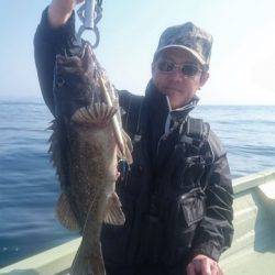 気仙沼 つり丸 釣果