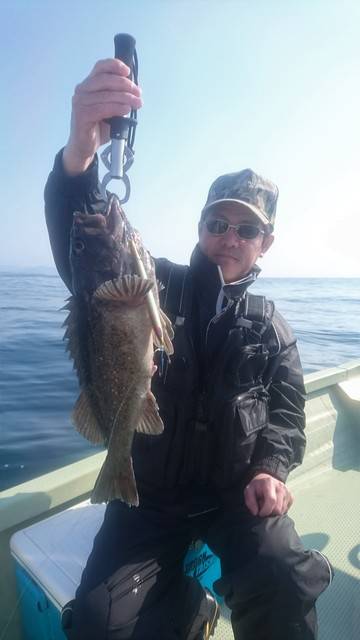 気仙沼 つり丸 釣果