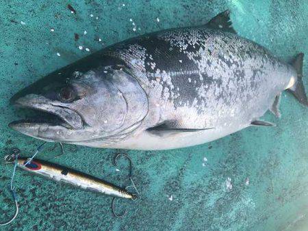 広進丸 釣果