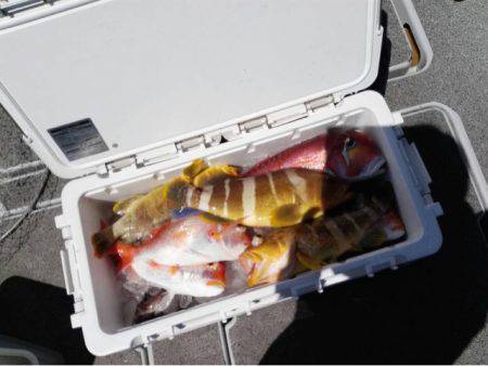 第二大福丸 釣果