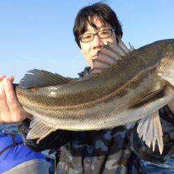 浜新丸 釣果