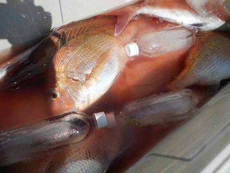 こうゆう丸 釣果