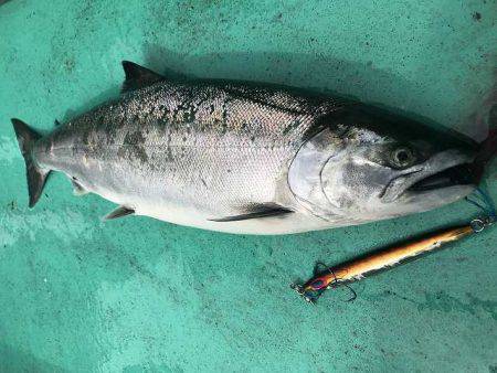 広進丸 釣果