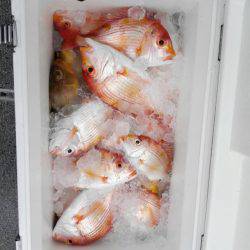 第二大福丸 釣果