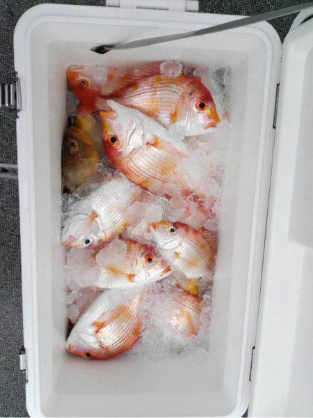 第二大福丸 釣果