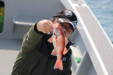 へいみつ丸 釣果