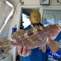 遊漁船 ニライカナイ 釣果